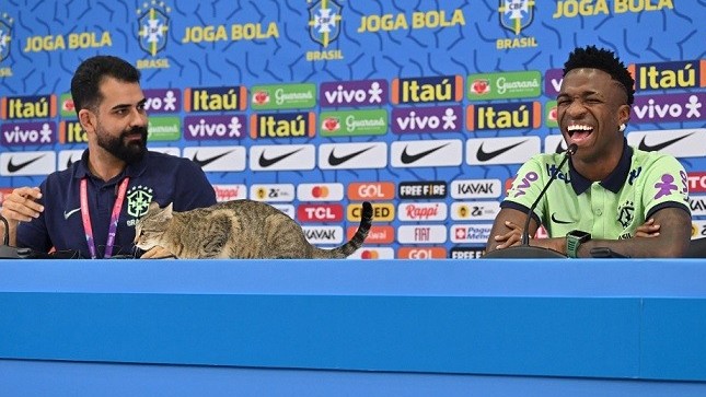 World Cup 2022: Chú mèo bất ngờ xuất hiện trên bàn họp báo đội tuyển Brazil