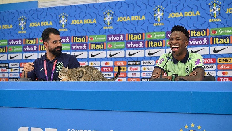 World Cup 2022: Chú mèo bất ngờ xuất hiện trên bàn họp báo đội tuyển Brazil