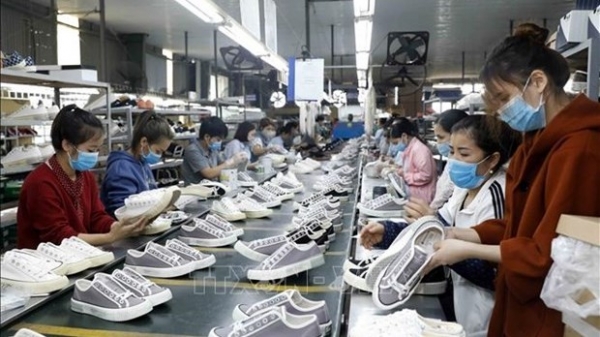 Vietnamese firms seek to tap benefits from EVFTA