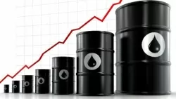 Giá xăng dầu hôm nay 19/7: Đồng loạt giảm nhẹ