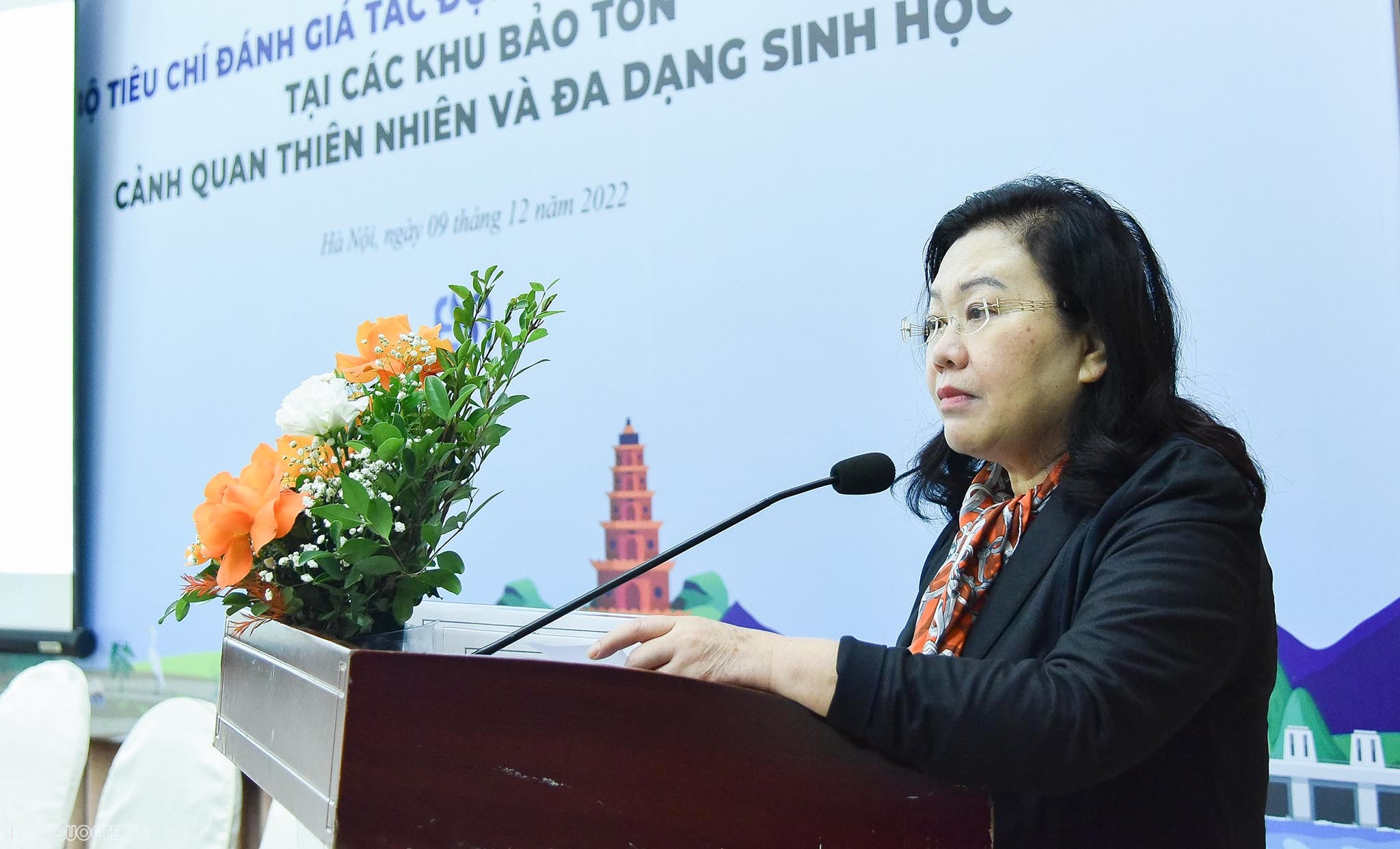 Đại sứ Nguyễn Thị Hoàng Anh, Chủ tịch Hội Luật quốc tế Việt Nam, nguyên Thẩm phán Toà án nhân dân tối cao