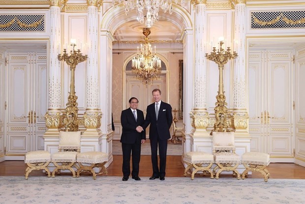 PM Pham Minh Chinh (left) meets the Grand Duke of Luxembourg, Henri. (Photo: VNA) 