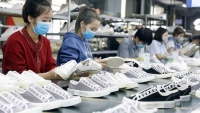 Xuất khẩu ngày 9-11/12: Việt Nam lọt top 30 nền kinh tế xuất nhập khẩu hàng hóa lớn nhất; ngành thủy sản đạt kỷ lục