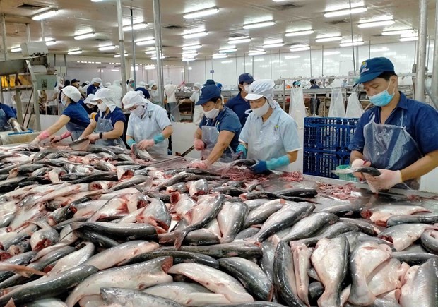 Vietnam’s tra fish export value expected to reach 2.4 billion USD this year