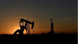 Giá xăng dầu hôm nay 3/7: Cả dầu Brent và WTI đồng loạt giảm nhẹ