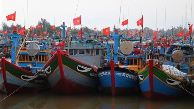 Quang Ngai records improvement in fishermen’s awareness of IUU fishing