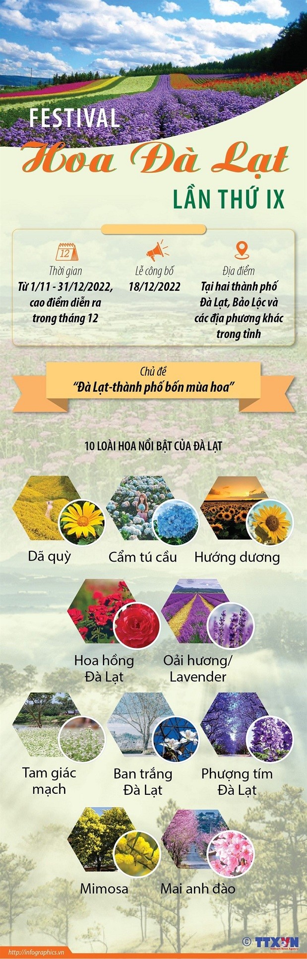 Đến với thành phố bốn mùa hoa để trải nghiệm Festival Hoa Đà Lạt lần thứ IX. (Nguồn: TTXVN)