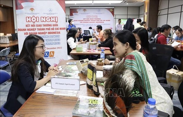 Vietnam, Indonesia have potential to boost economic partnership: Experts