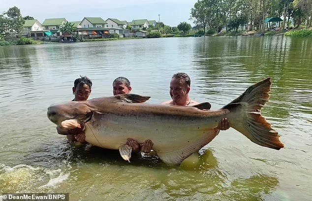 Câu được con cá da dầu khổng lồ, nặng gần 200kg tại Thái Lan