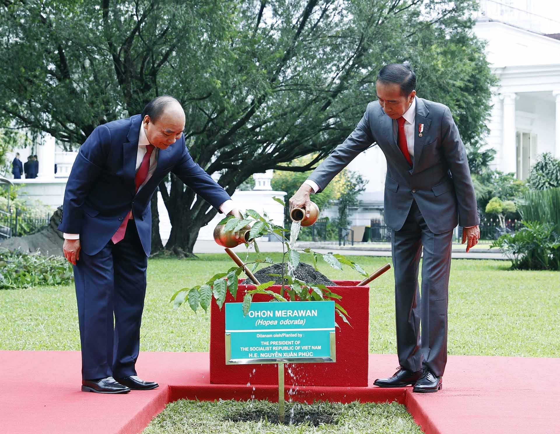 Chủ tịch nước Nguyễn Xuân Phúc và Tổng thống Indonesia Joko Widodo trồng cây lưu niệm. (Nguồn: TTXVN)