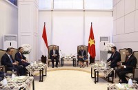 Việt Nam mong muốn thúc đẩy hơn nữa quan hệ Đối tác chiến lược với Indonesia