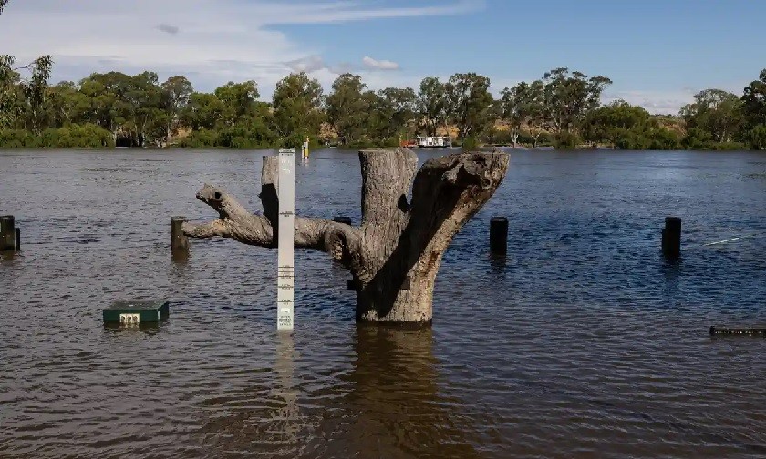 Bang Nam Australia đối mặt lũ lụt nghiêm trọng nhất trong hơn 60 năm qua đạt đỉnh 1 tỷ lit/ngày. hình ảnh tại một điểm đánh dấu lũ lụt ở Mannum, Nam Australia, một thị trấn ở bờ tây sông Murray, dự kiến ​​sẽ đạt đỉnh trong những ngày tới. (Nguồn: theguardian)