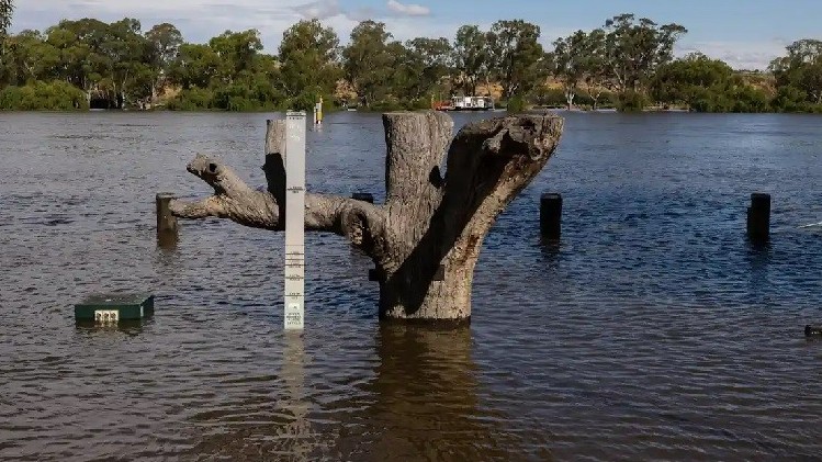 Bang Nam Australia đối mặt lũ lụt nghiêm trọng nhất trong hơn 60 năm