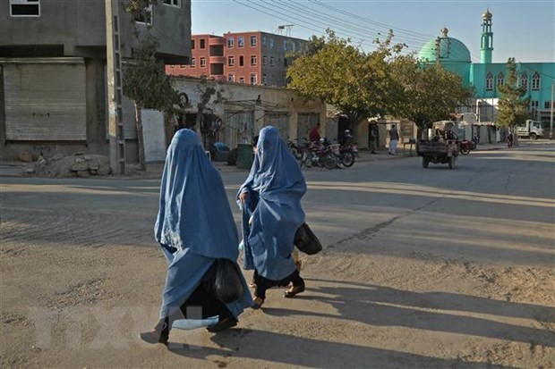 Liên hợp quốc lên tiếng khi chính quyền Taliban cấm phụ nữ làm việc cho các tổ chức phi chính phủ trong nước và quốc tế
