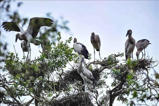 Vietnam  is ranked 16th out of 25 countries with richest biodiversity