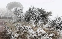 Dự báo không khí lạnh: Từ chiều và đêm 28/12, Bắc Bộ, Thanh Hóa rét đậm, vùng núi rét hại; vùng núi cao có mưa tuyết và băng giá