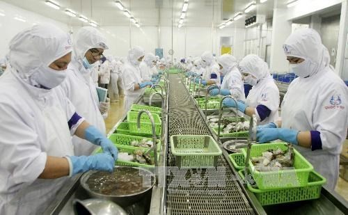 Ca Mau targets 1.3 billion USD from exports next year