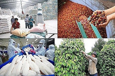 Các hiệp định thương mại tự do thúc đẩy xuất khẩu hàng hóa Việt Nam