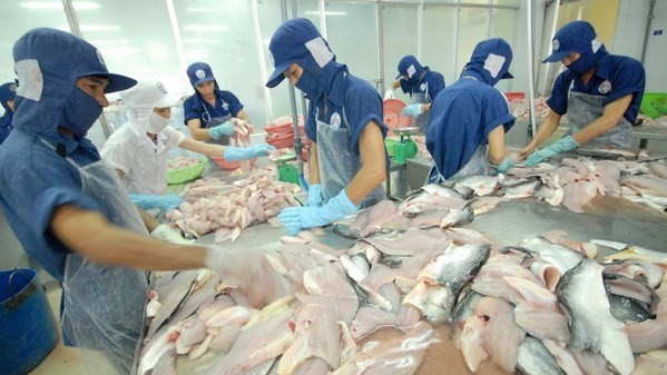 Strong growth recorded in tra fish exports to ASEAN markets