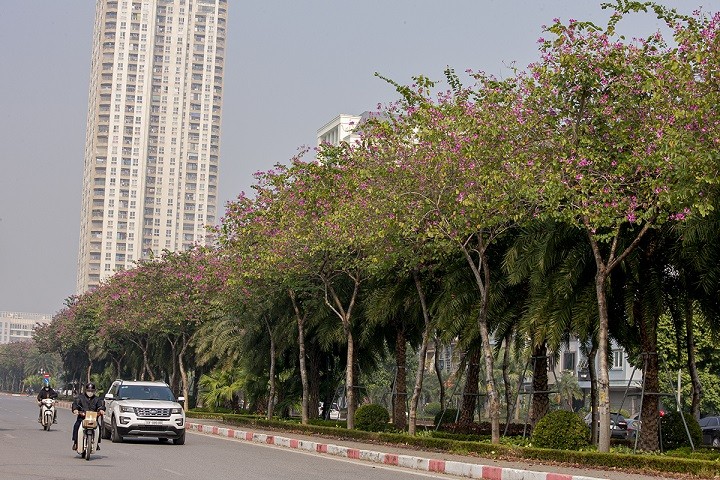 Dự báo thời tiết đêm nay và ngày mai (30-31/12): Hà Nội, Bắc Bộ rét đậm, vùng núi rét hại; Trung Bộ mưa rào rải rác; Nam Bộ lạnh về đêm và sáng sớm