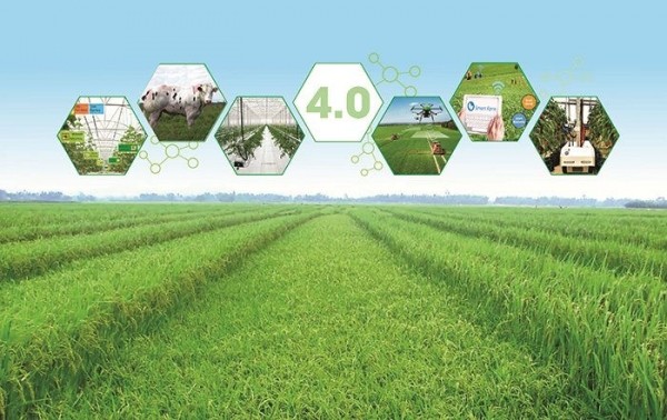 Chuyển đổi số giúp ngành nông nghiệp nâng cao năng suất, chất lượng, hiệu quả sản xuất và tiêu thụ sản phẩm nông nghiệp - Ảnh: baotainguyenmoitruong.vn