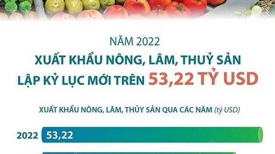 nam 2022 xuat khau nong lam thuy san cua viet nam dat hon 53 ty usd