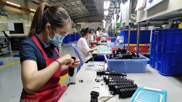 Domestic firms in Dong Nai set new record in export turnover