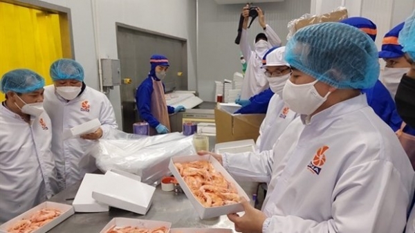 Vietnamese shrimp exporters see profits in 2022 thanks to FTAs