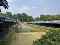 Khám phá dấu tích hồ cổ trong khu di tích 18 Hoàng Diệu tại Hoàng thành Thăng Long