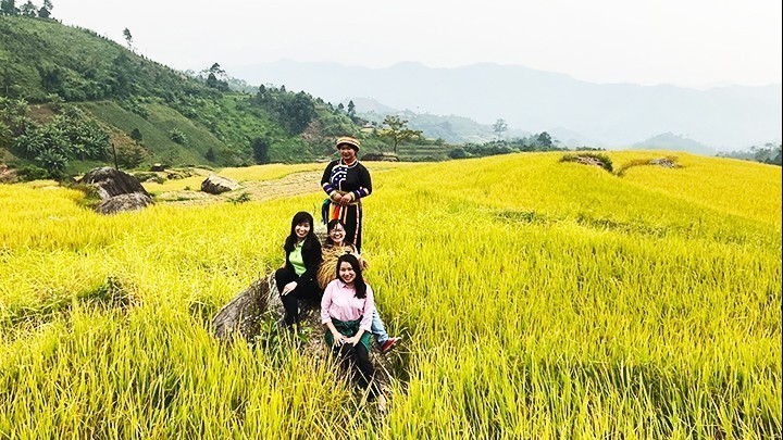 The special flavour of sticky rice in Phieng Phang Village, Bac Kan Province