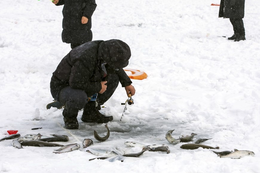 Một thợ câu chuyên nghiệp cần mẫn bên cạnh thành quả rất nhiều cá vừa câu được tại lễ hội. (Nguoonf: TTXVN)