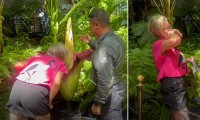 Australia: Hoa 'xác thối' nở tại vườn bách thảo hút khách du lịch
