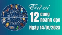 Tử vi 12 cung hoàng đạo Thứ Bảy ngày 14/1/2023: Song Ngư bị dắt mũi