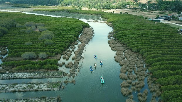 Vietnam takes steps towards net zero emissions