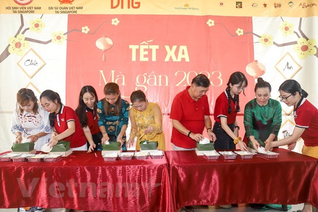 Overseas Vietnamese in UK, Singapore celebrate Tet