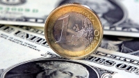 Tỷ giá ngoại tệ hôm nay 16/1: Tỷ giá USD, Euro, Yen Nhật, CAD, AUD, Bảng Anh... Đồng bạc xanh tiếp tục giảm, Euro có xu hướng tăng