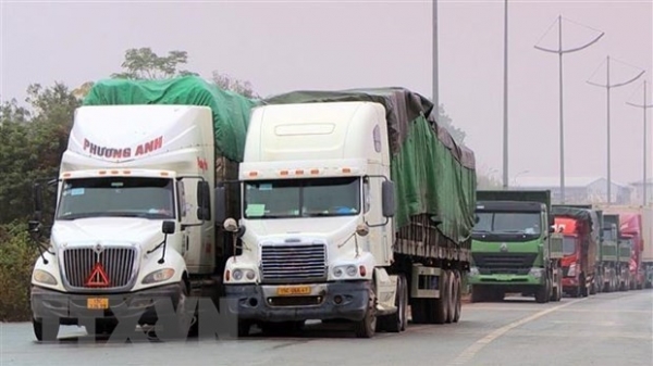 Nearly 4,000 traverse Mong Cai international border gate in Quang Ninh