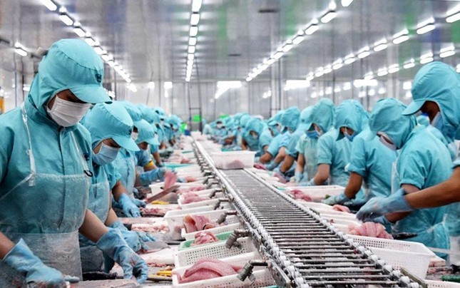 Vietnam’s aquaculture exports face many barriers: official