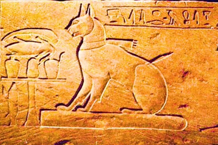 Quan niệm tôn thờ mèo của người Ai Cập cổ đại. (Nguồn: Facts Factory | Animals)