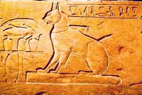 Quan niệm tôn thờ mèo của người Ai Cập cổ đại