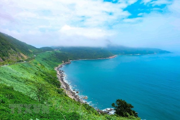Part of Son Tra Peninsula in Da Nang city. (Source: VNA)