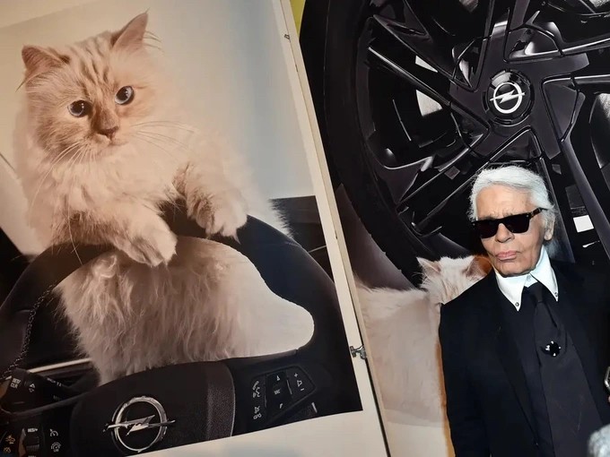 Kể từ khi về ở với nhà thiết kế Karl Lagerfeld, Choupette được đối xử như một quý cô sang chảnh (Ảnh: Insider).