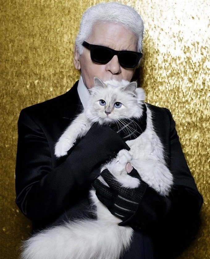 Mèo Choupette bên nhà thiết kế thời trang nổi tiếng - Karl Lagerfeld nhiều năm về trước (Ảnh: Insider).