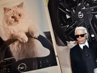 Choupette, cô mèo triệu đô ‘hút hồn’ nhà thiết kế thời trang huyền thoại Karl Lagerfeld