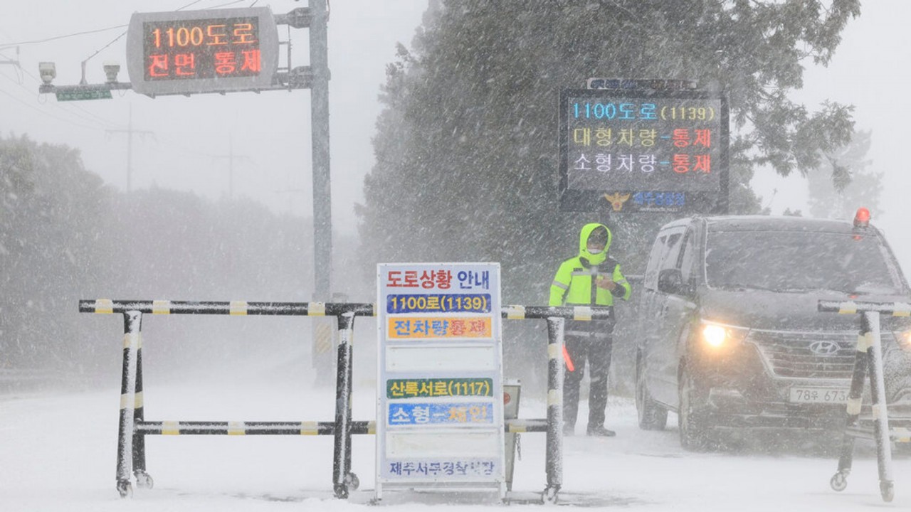 Tuyết rơi tại đảo Jeju, Hàn Quốc. (Nguồn: Yonhap/AP)