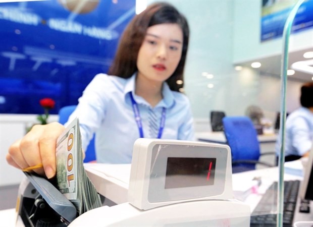 Foreign investors become driving force supporting Vietnamese stock market: Analysis