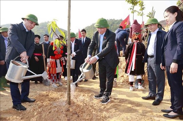 Chủ tịch Quốc hội Vương Đình Huệ tham gia trồng cây tại xã Chân Sơn, huyện Yên Sơn, tỉnh Tuyên Quang - Ảnh: Quochoi.vn