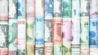 Tỷ giá ngoại tệ hôm nay 3/2: Tỷ giá USD, Euro, Yen Nhật, CAD, AUD, Bảng Anh... Chỉ số việc làm tăng tỷ lệ thuận với đồng bạc xanh