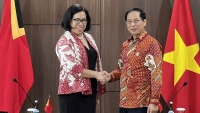 Bộ trưởng Ngoại giao Bùi Thanh Sơn gặp Bộ trưởng Ngoại giao và hợp tác Timor-Leste