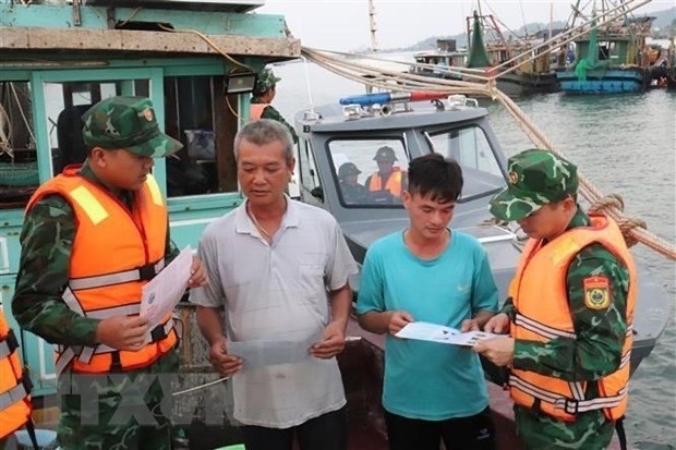 Kien Giang implements 180-day IUU fishing combat drive